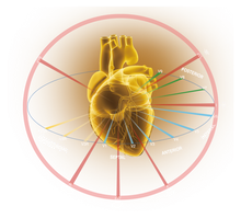 Cargar imagen en el visor de la galería, EDAN SE-18 - ELECTROCARDIOGRAMA DE 18 DERIVACIONES